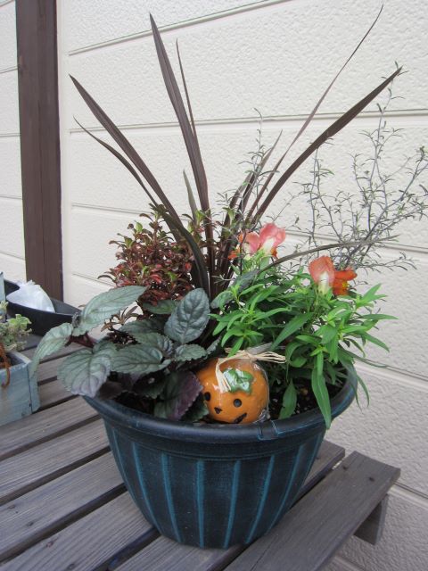 暮らしにお花を添えましょう 季節の寄せ植え(土)