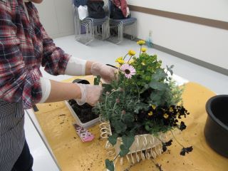 暮らしにお花を添えましょう 季節の寄せ植え(土)
