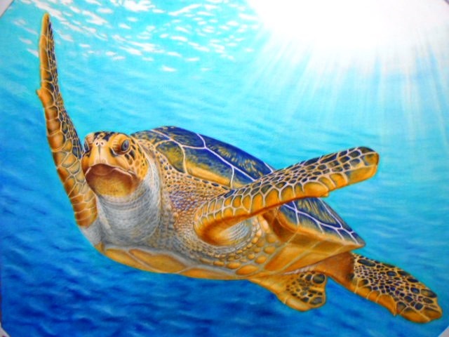 まるで写真 ★リアル色鉛筆画 1day 小4以上