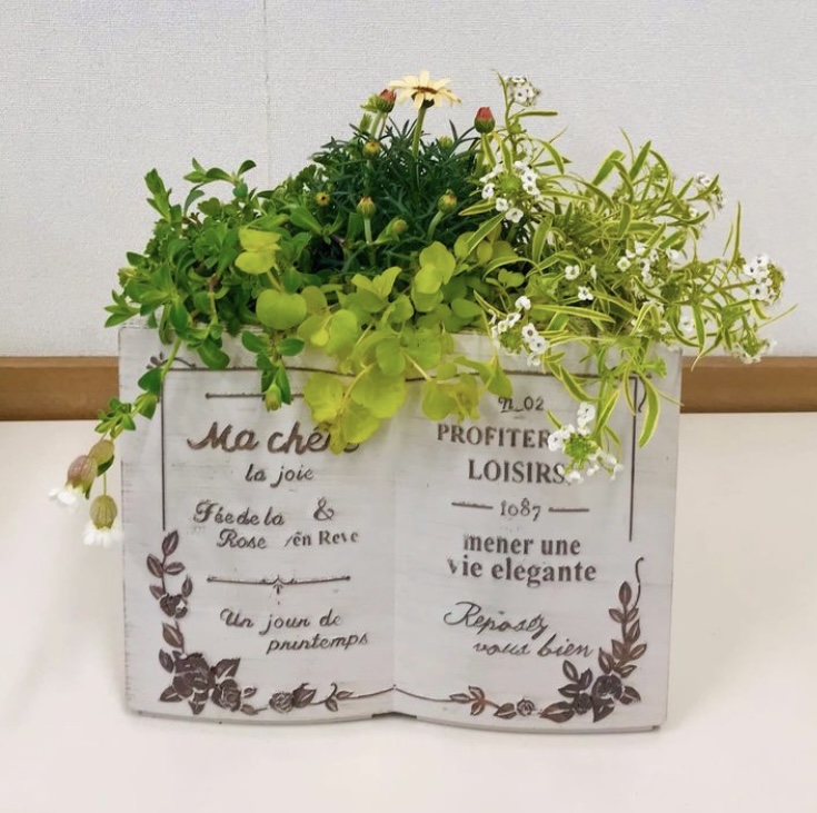 植物と楽しみ遊ぶ ナチュラルガーデニング