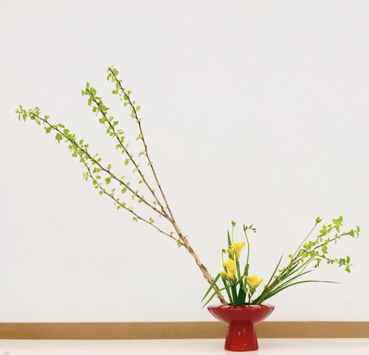 月一回の 草月流