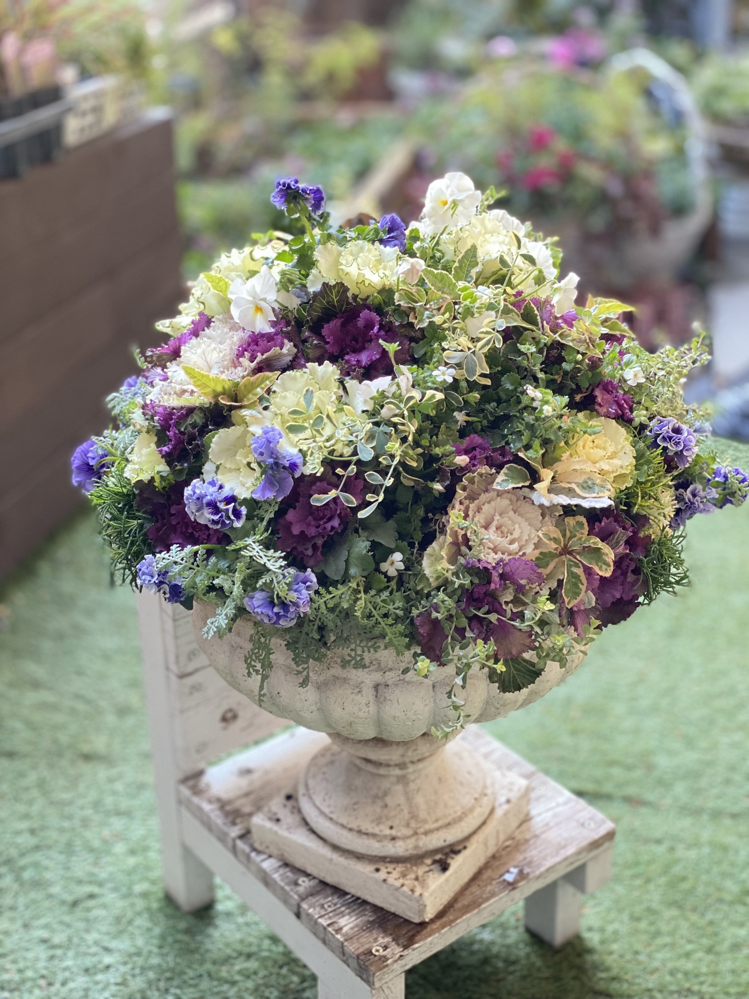 花束で植えこむ 寄せ植えギャザリング