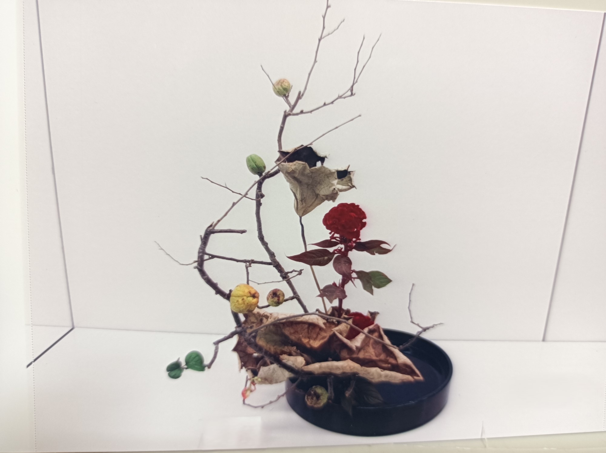 月3回 いけばな小原流