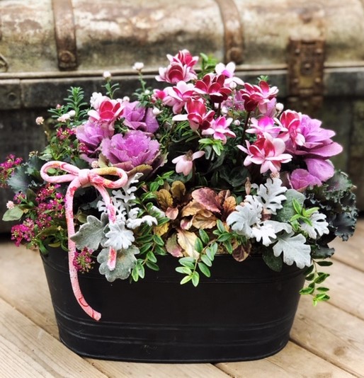 人気の新しい寄せ植え技法 Plants gatheringⓇ(プランツギャザリング)
