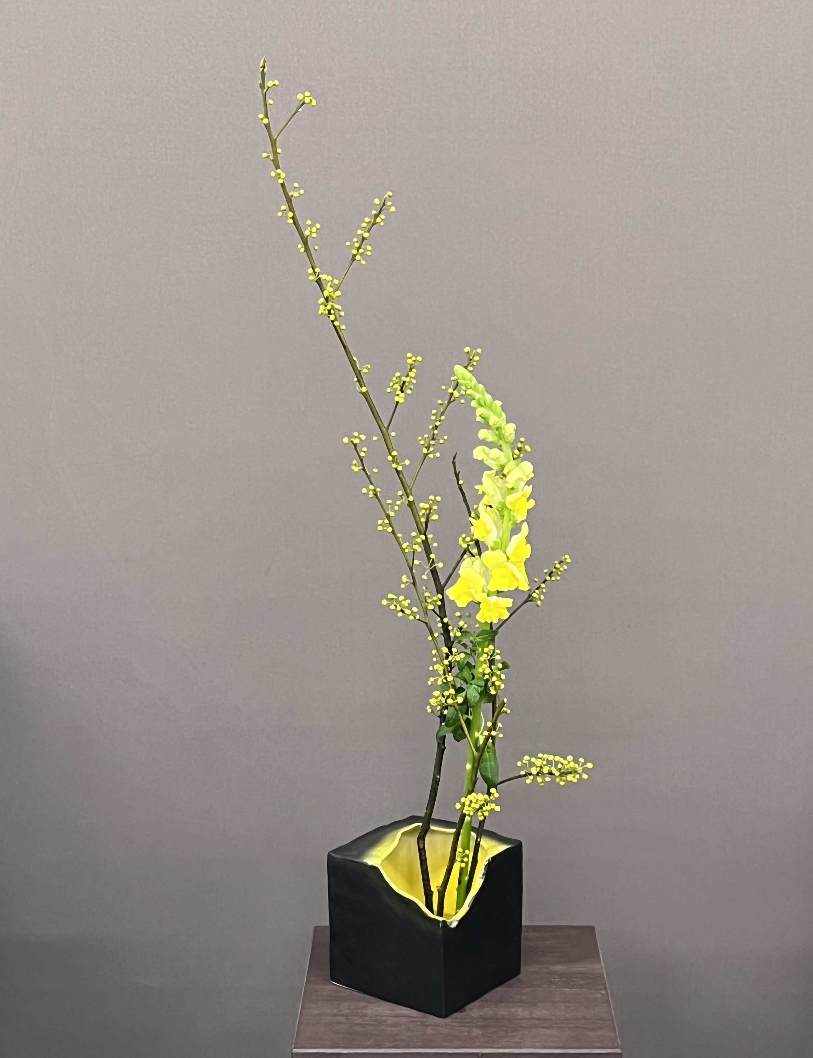 いつでも、どこでも、どなたにでも いけばな 草月流