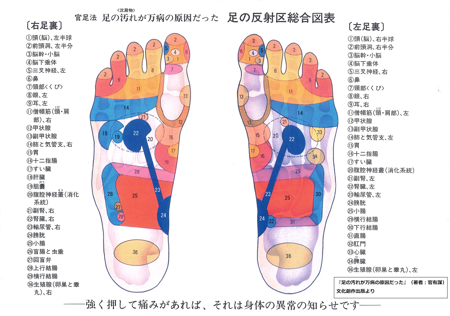 秋の薬に頼らず自分で出来る健康法(全6回) 官足法足揉み講座 新講座 9/25(木)特別体験会