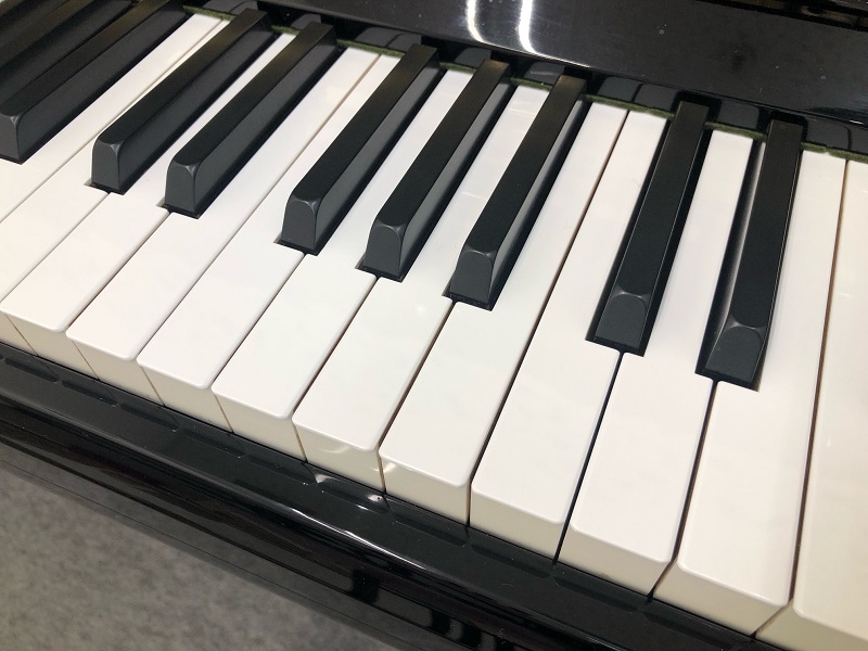 日曜楽しいピアノ (月2回)