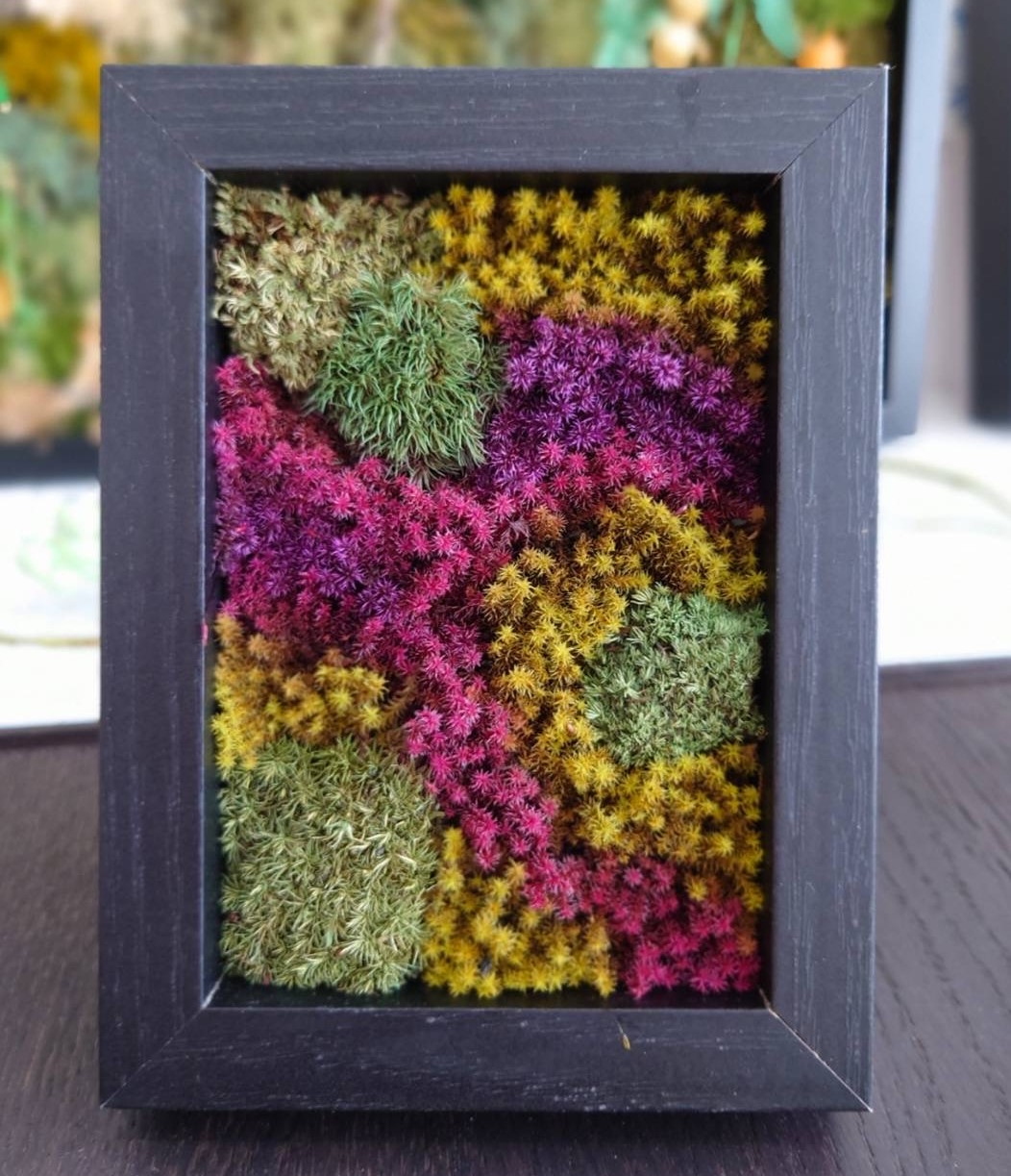 癒しの苔のインテリア 苔プリザアート 秋の新講座 10/21(火) 一日体験会