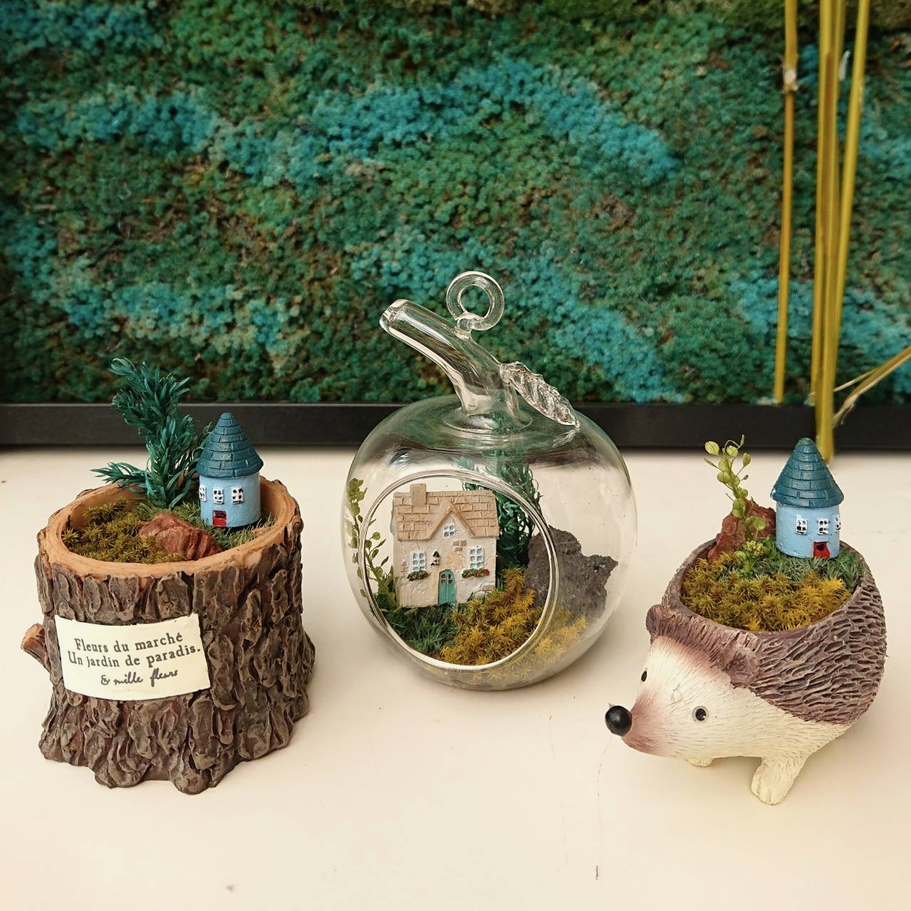 癒しの苔のインテリア 苔プリザアート 秋の新講座 10/21(火) 一日体験会