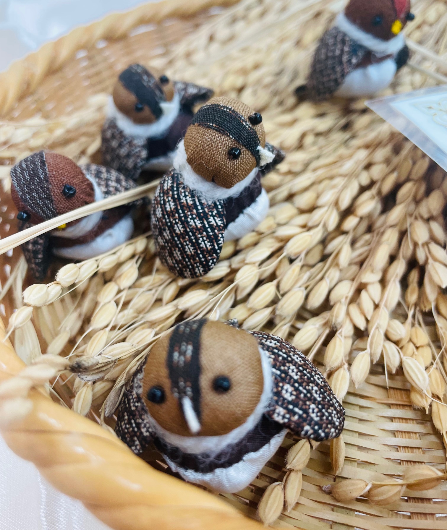 季節に合わせて 「和の布あそび」