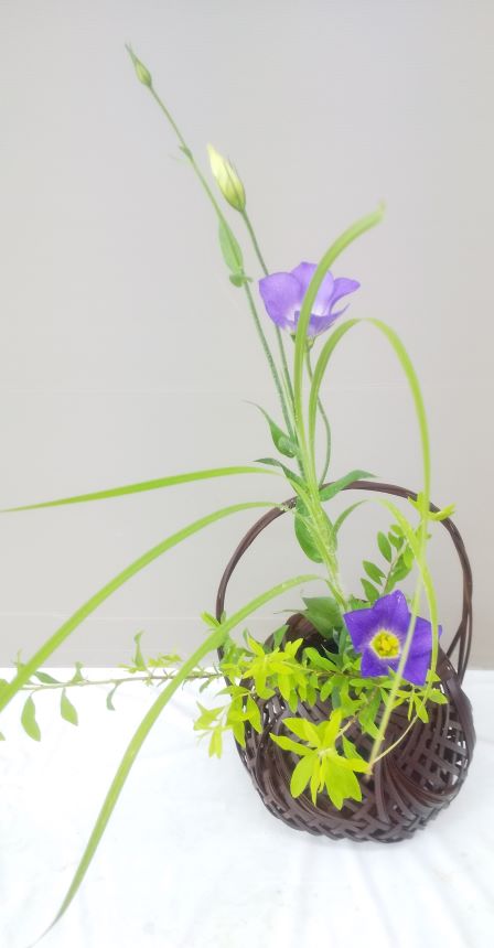 季節のお花を楽しむ いけばな小原流