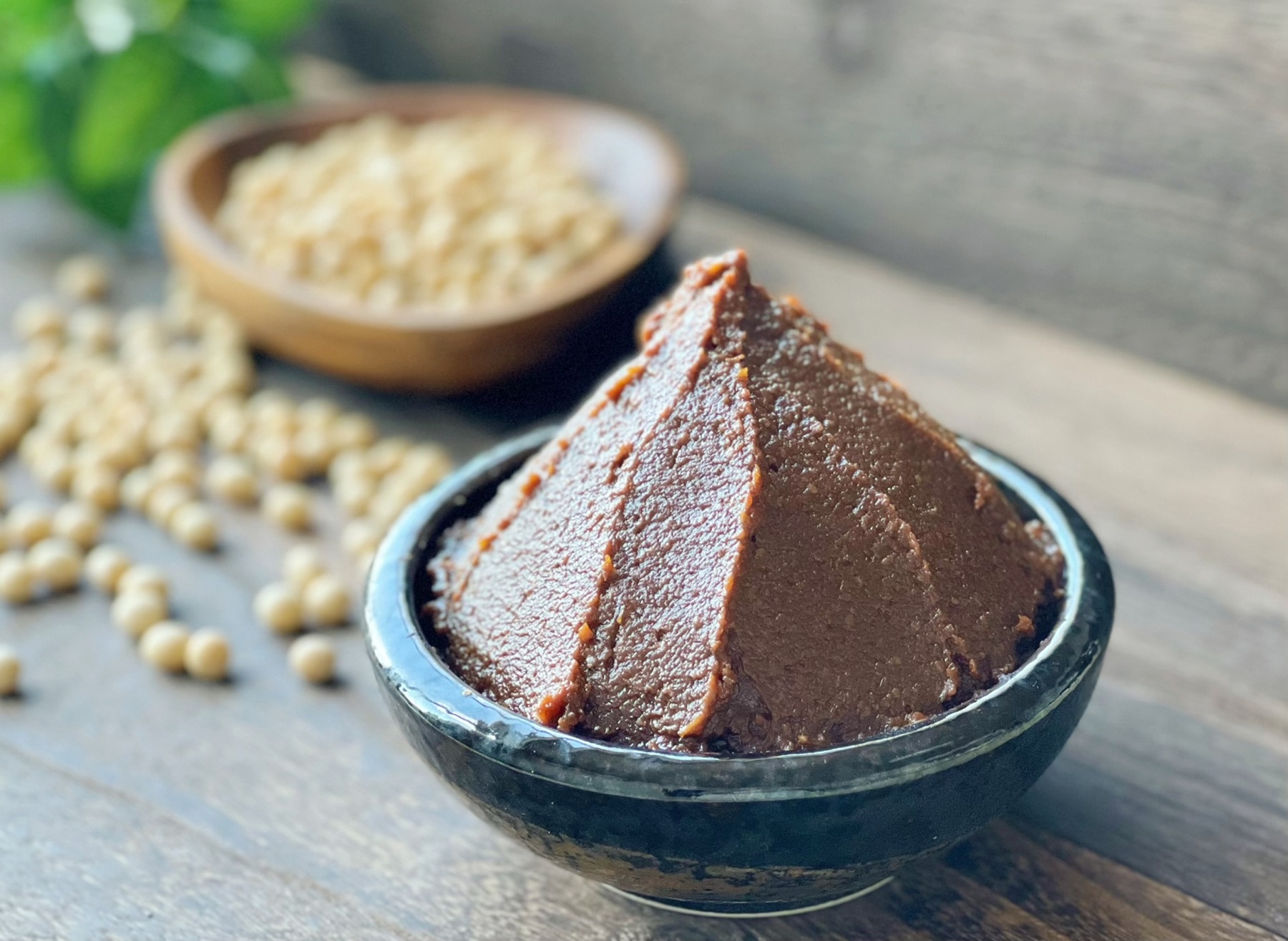 発酵ってすごい! 手作りみそ 【冬のday講座 3月31日(火)】