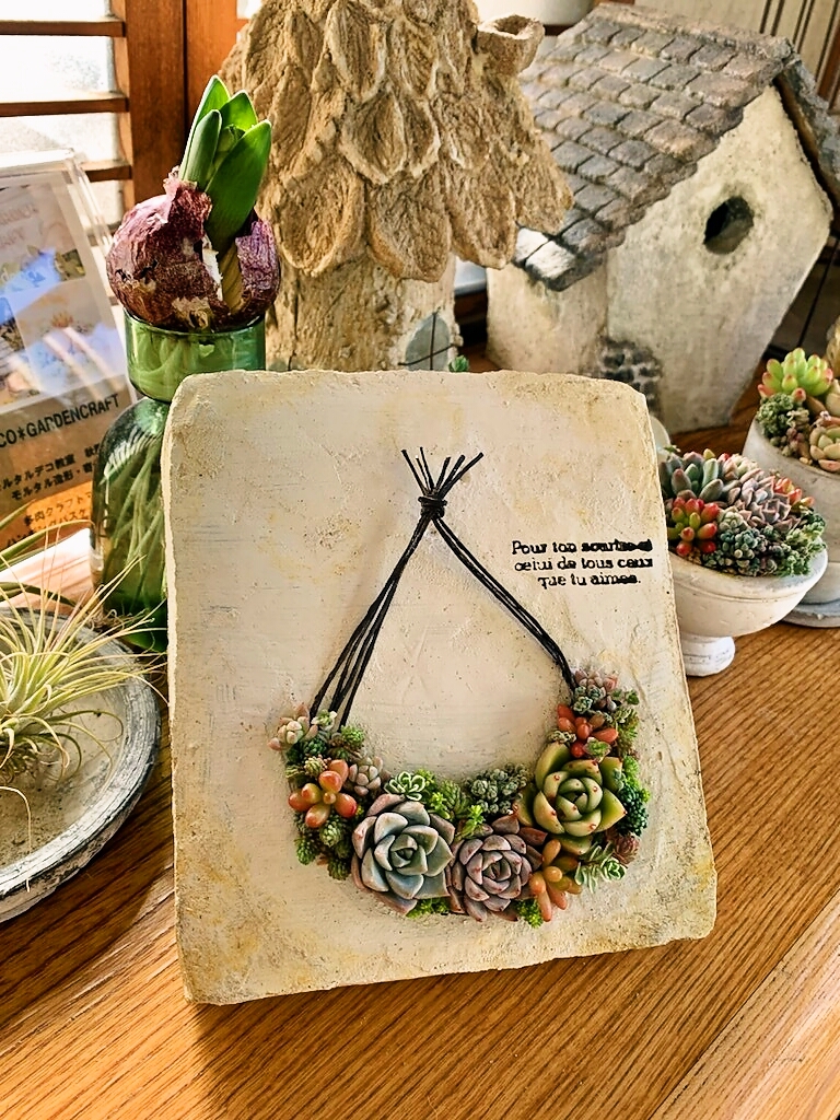 初心者の方も気軽に楽しく 多肉植物の寄せ植え(全3回) 新春の新講座 3/10(火)スタート