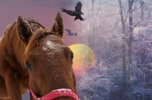 撮りたいと思った時がシャッターチャンス! 思い出写真館カメラ講座