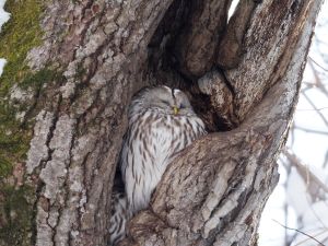撮りたいと思った時がシャッターチャンス! 思い出写真館カメラ講座