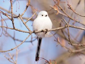 撮りたいと思った時がシャッターチャンス! 思い出写真館カメラ講座