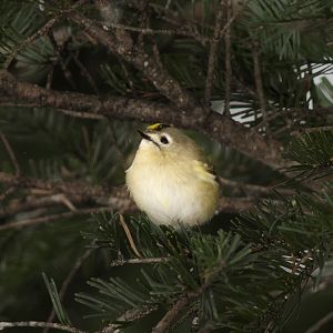 撮りたいと思った時がシャッターチャンス! 思い出写真館カメラ講座