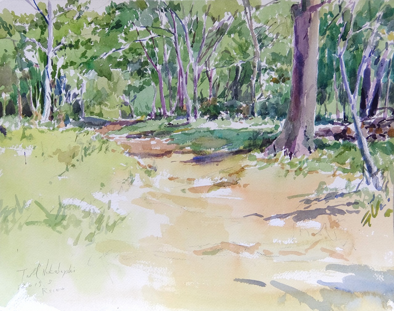 デッサンから着彩まで1歩ずつ はじめての水彩画