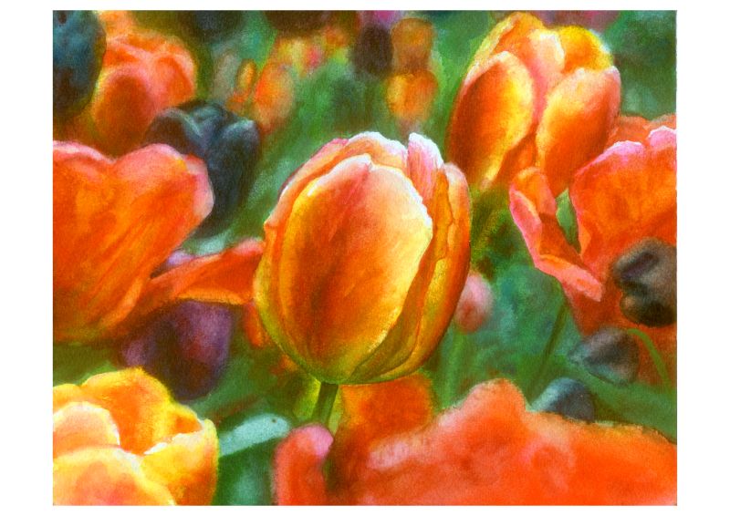 写真を見て描く色鉛筆画・水彩画の基本 風景スケッチ入門