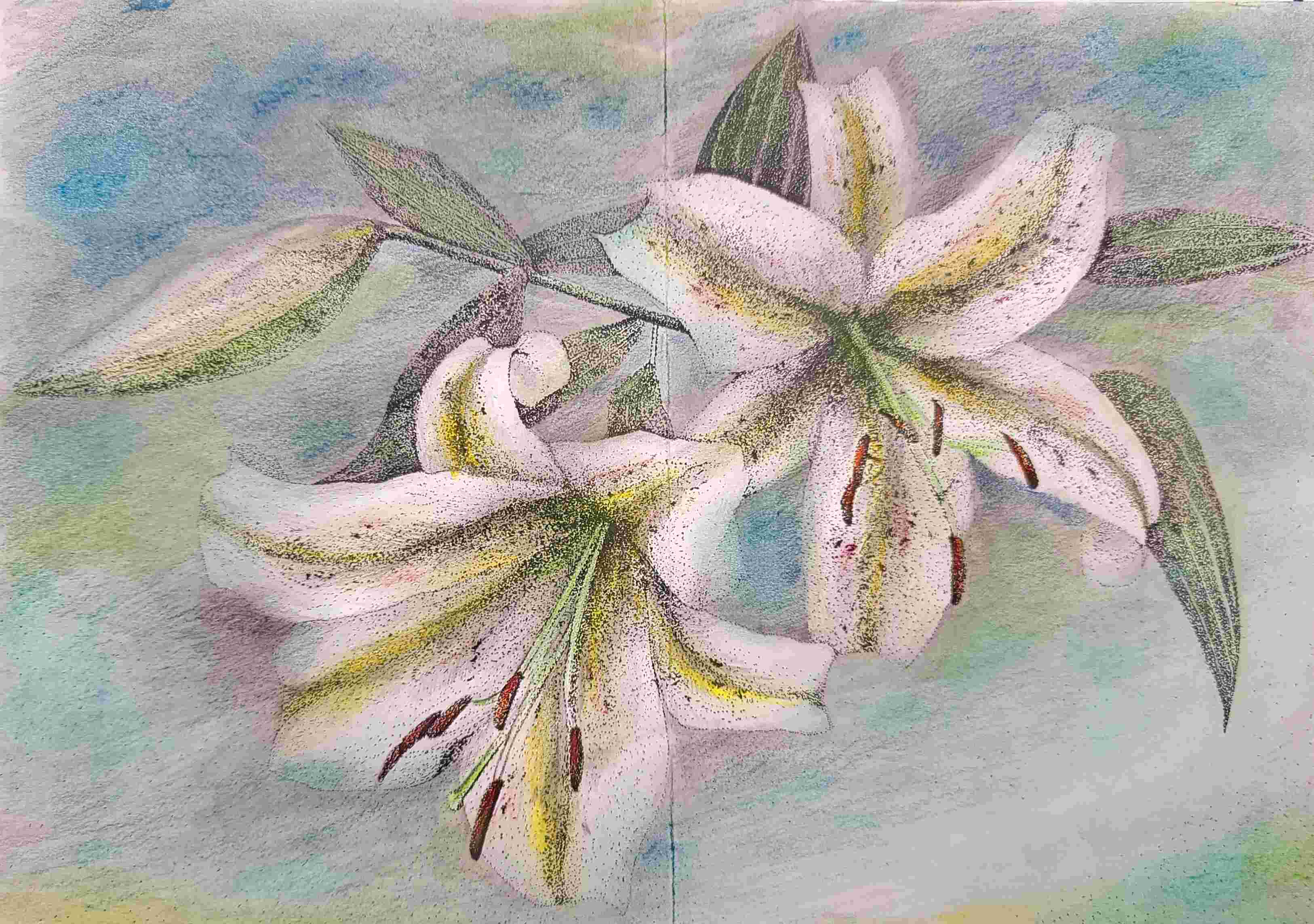 自由な画材で描く 金曜絵画 秋の新講座 9/26(金)特別体験会