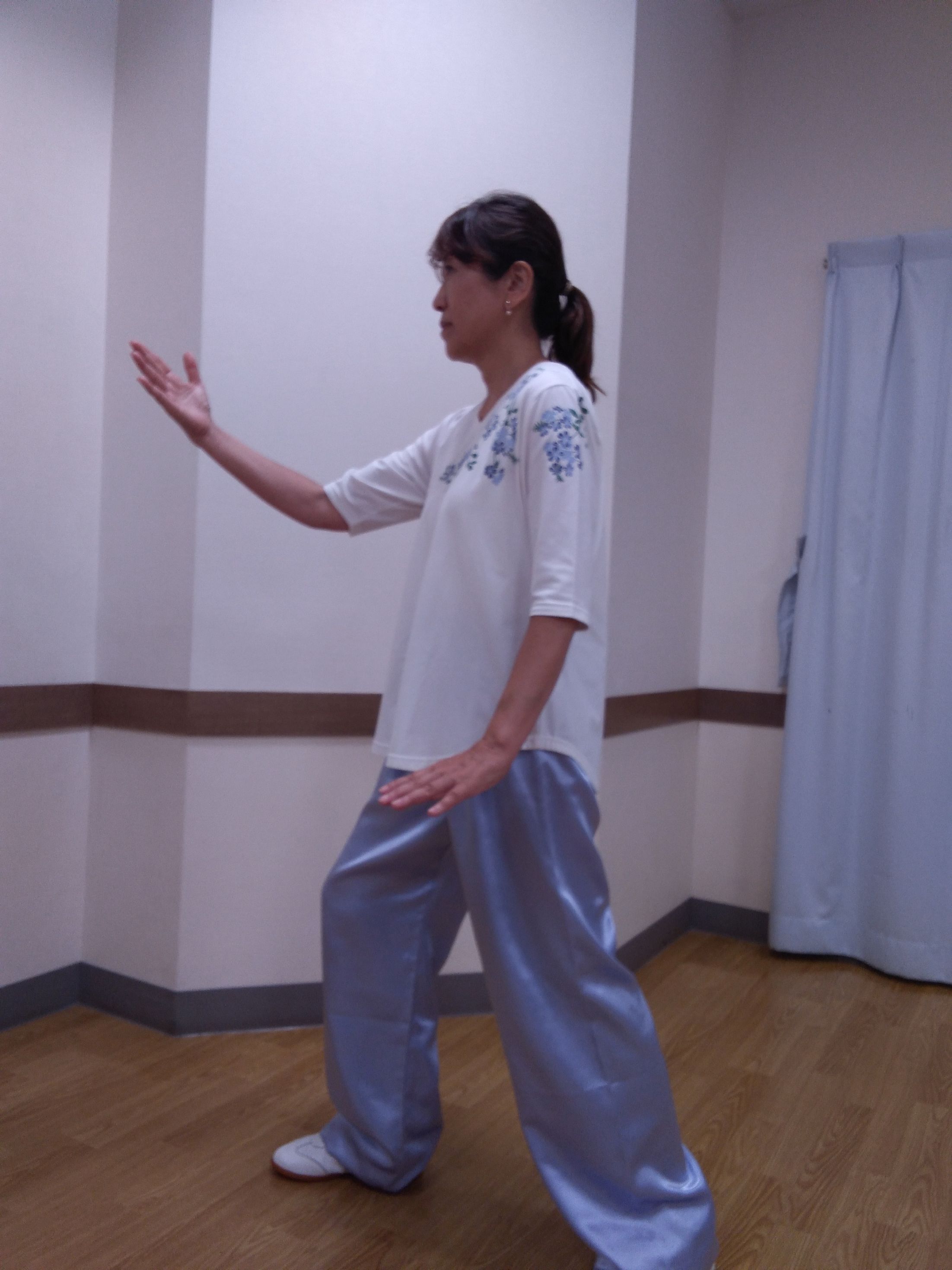 バランスを整える ゆったり太極拳