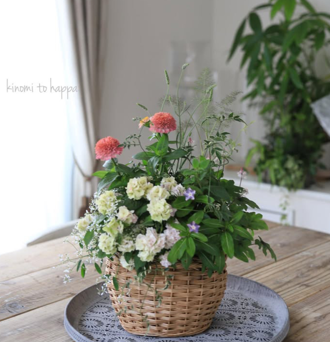 根付きのフラワーアレンジメント 「ギャザリング」 全3回