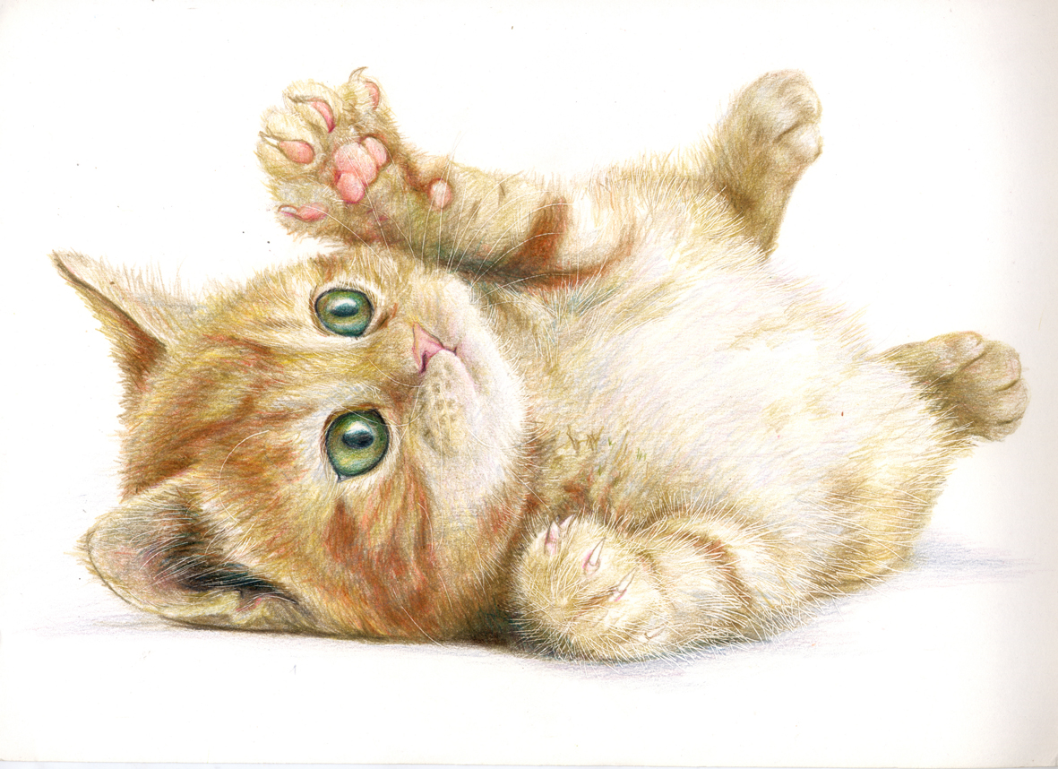 基礎からの 「水彩・色鉛筆画」