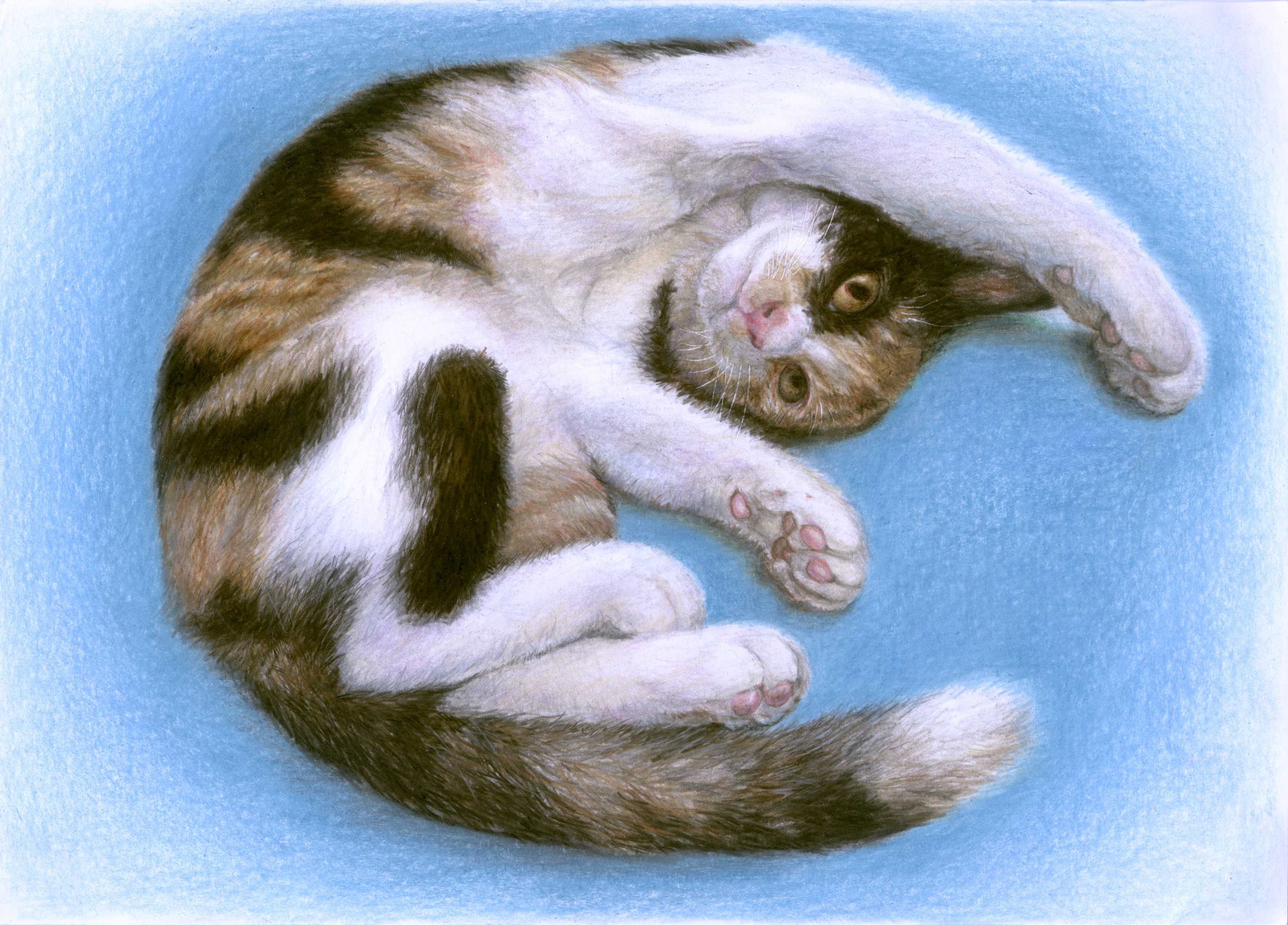 だれでも描ける 「色鉛筆画」「水彩画」の基礎 【秋の新講座】 11/7(金)1,650円体験会