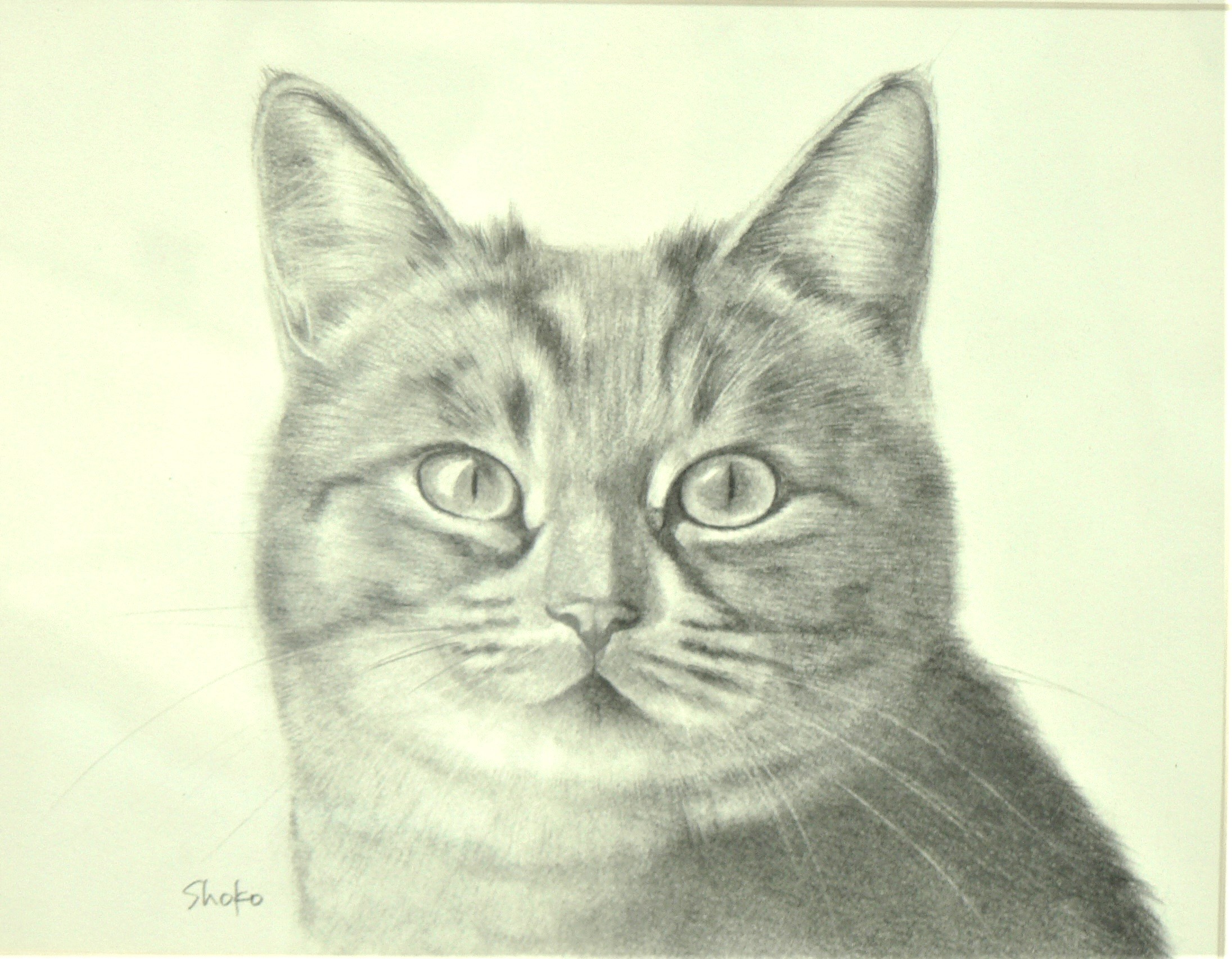 ペット・動物を描く はじめての鉛筆画