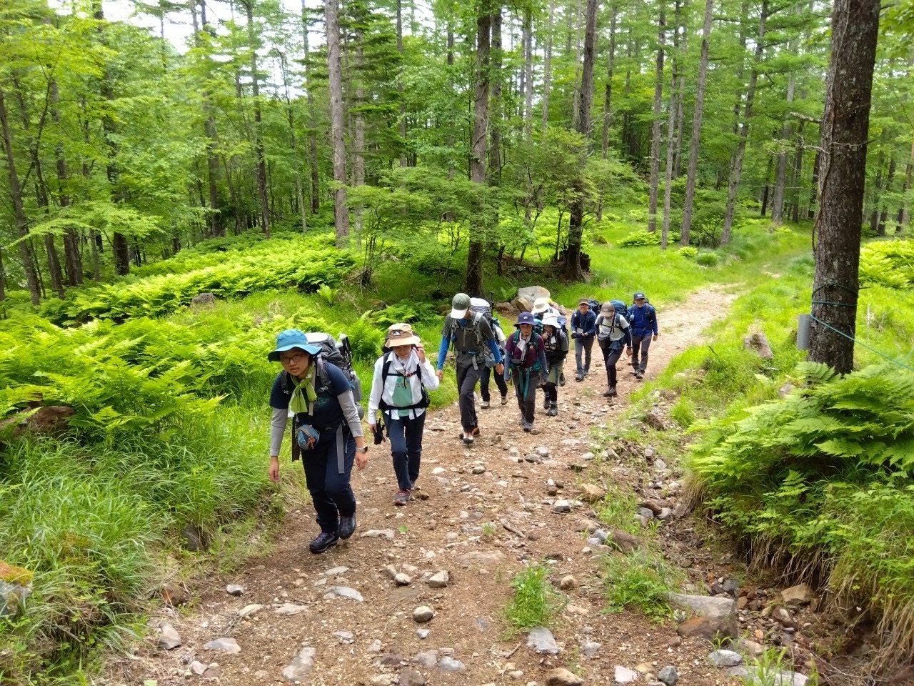 山を楽しむ校外学習 初めての山歩き 秋のスペシャル講座