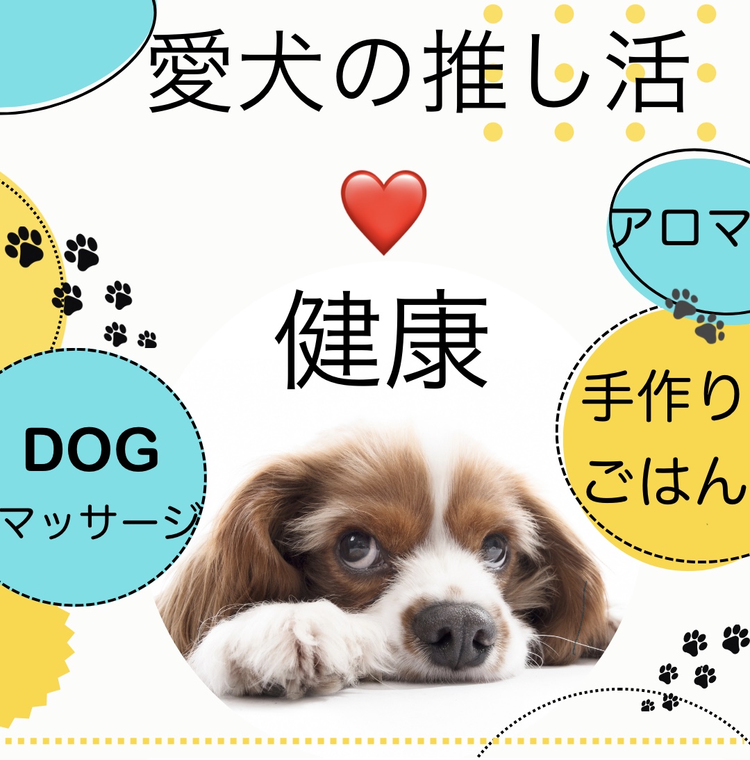 ♡愛犬の推し活♡ 愛犬ファミリー健康講座(全4回) ★秋の新講座 9月9日(火)一日体験★