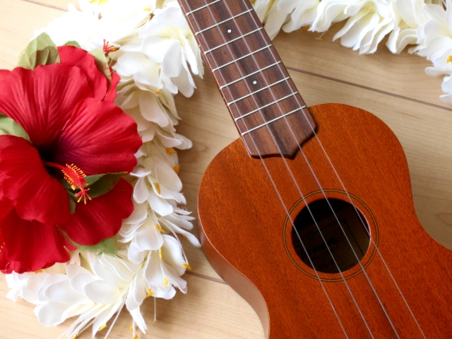 音楽のある毎日 はじめてのウクレレ弾き語り