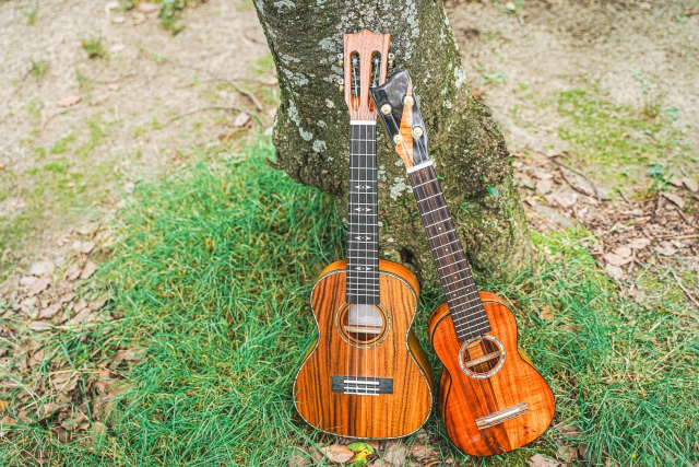 音楽のある毎日 はじめてのウクレレ弾き語り