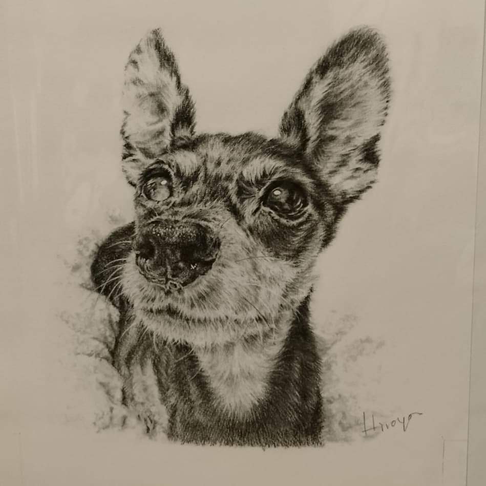 値下げしました！オリジナルのペットの鉛筆画 オーダーメイド鉛筆画(A4サイズ) | ペットの肖像画屋さん