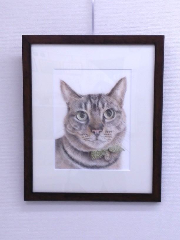 優しい色合い はじめての色鉛筆画