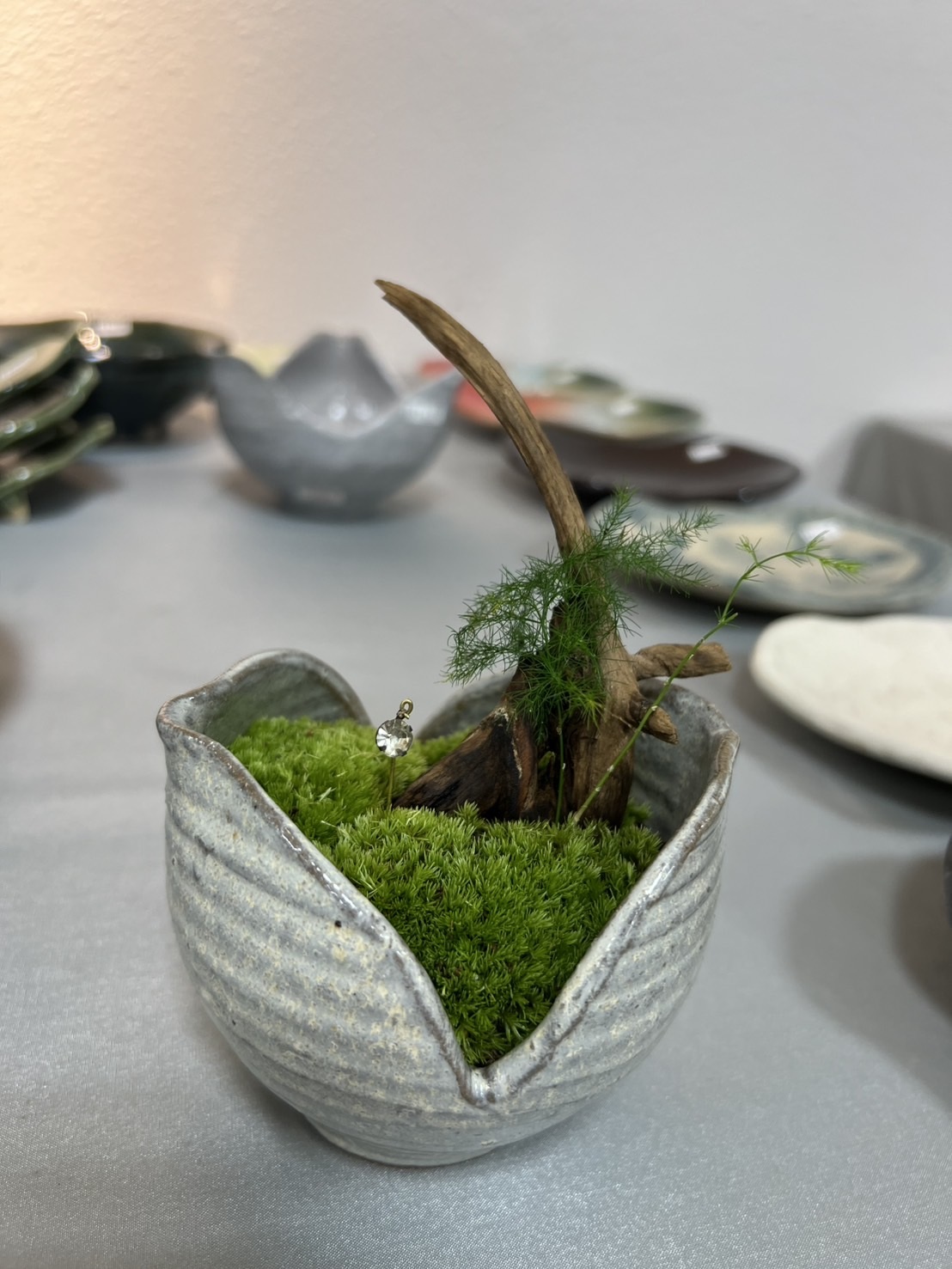 器の中に癒しの世界を 苔と流木のアート(全3回) 秋の新講座 10/9(木)スタート