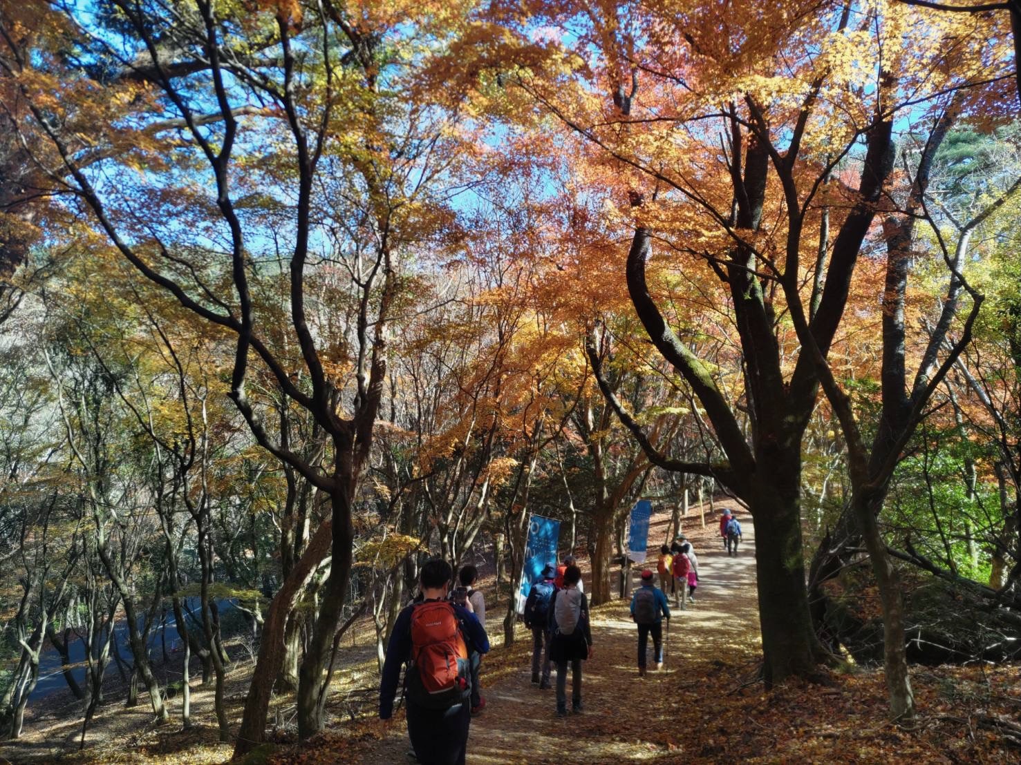 ゆっくり(ポレポレコース) いちから始める登山教室 秋の新講座9/25(木)特別体験会