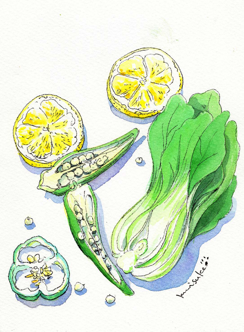 ペンで描く水彩スケッチ教室