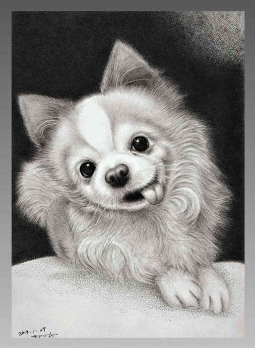 ペン画の基礎から はじめてのペン画