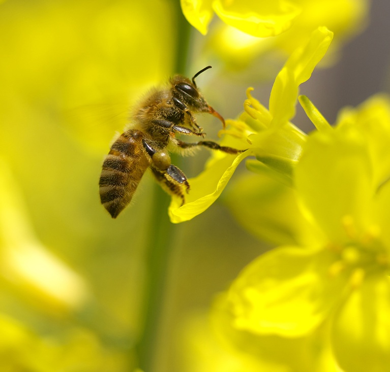 初心者歓迎‼SNSの写真力UP 写真を楽しむデジカメ入門(全8回) 新春の新講座 1/26(月)特別体験会