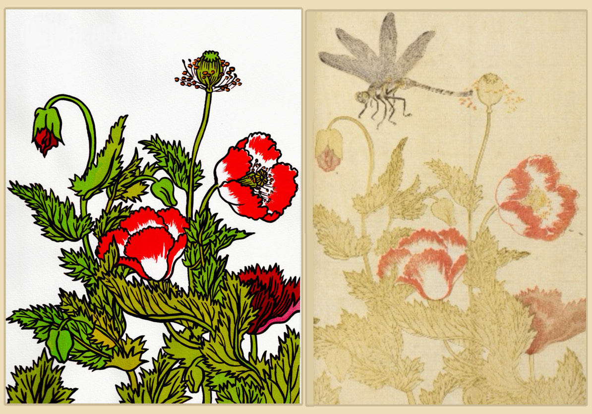 全5回 江戸の植物を描く 色鮮やか!アクリル絵画 秋の新講座 10/17(金)スタート