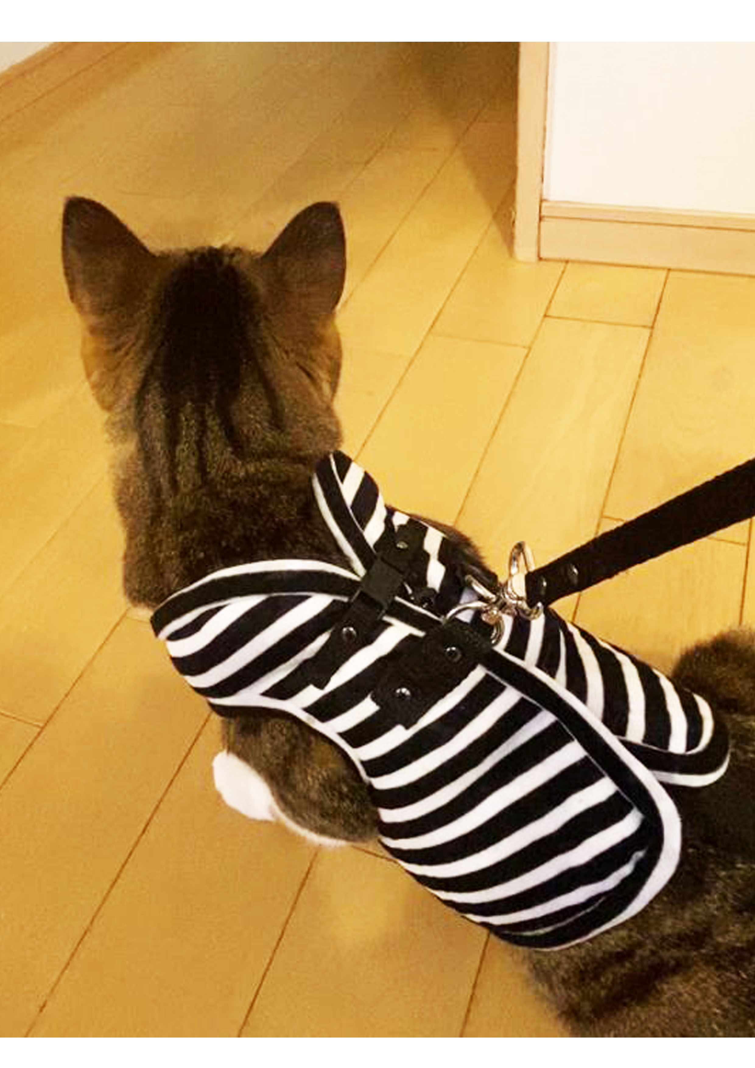 ミシンで作る わんちゃん・ねこちゃんの服・小物