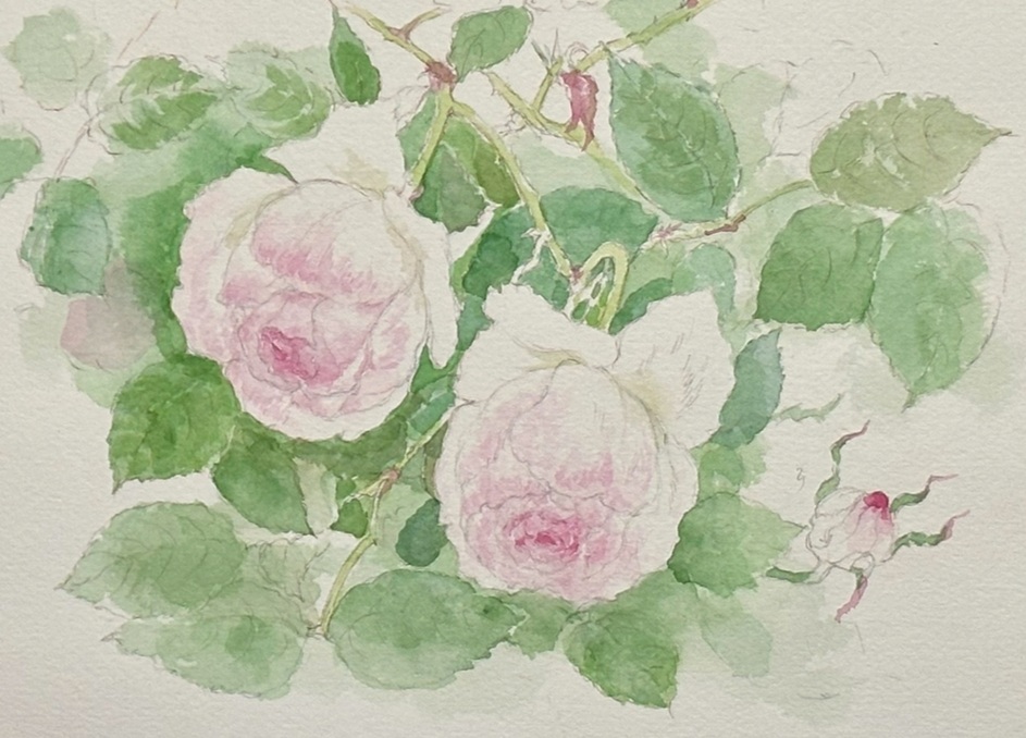 気軽に楽しむ月1回の 透明水彩画&デッサン