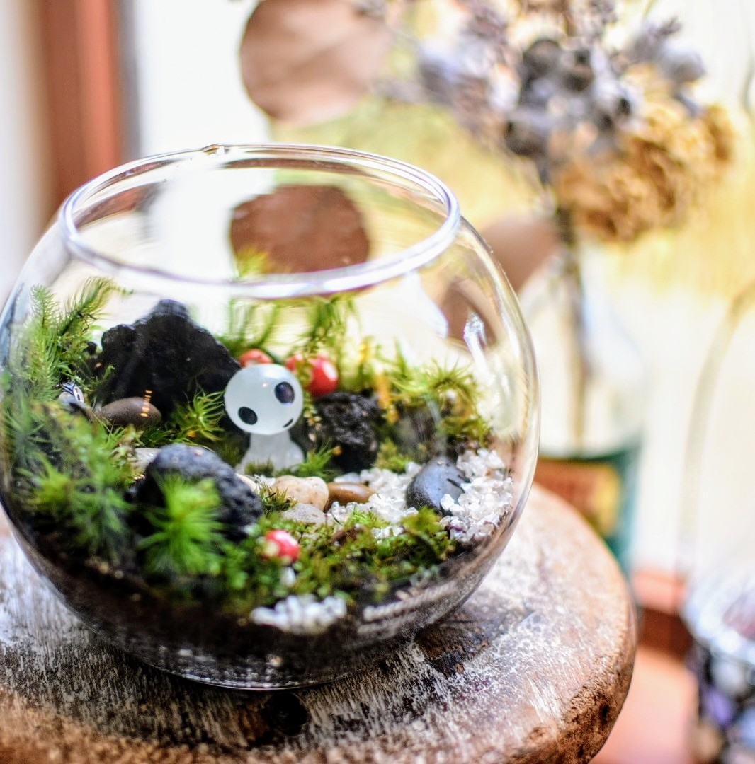 自分だけの小さな苔森(全3回) 季節を感じる苔テラリウム 秋の新講座 10/21(火)スタート