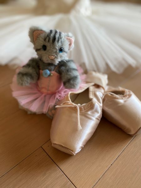 楽しく踊る ジュニアクラシックバレエ小1～小3