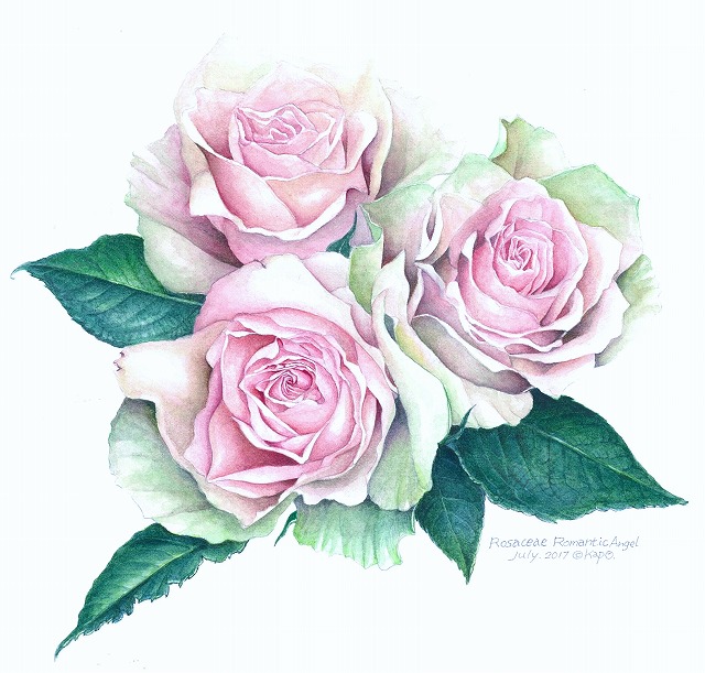 はじめての植物画 ボタニカル・アート入門