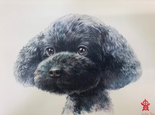 HP限定☆12/6特別体験会 似顔絵を描こう