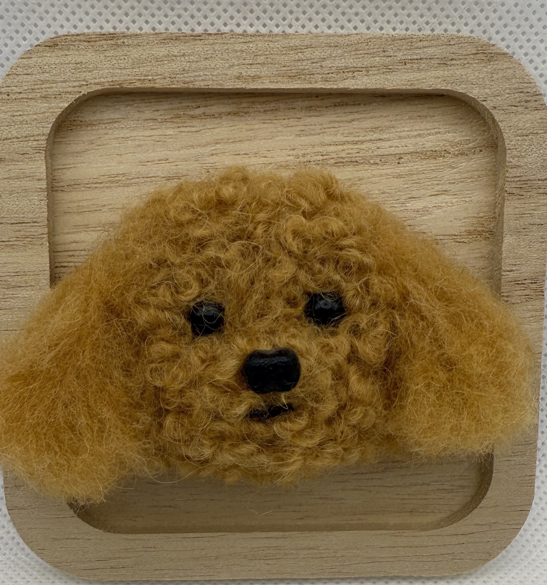 中山みどり監修 羊毛フェルトの愛犬愛猫作り