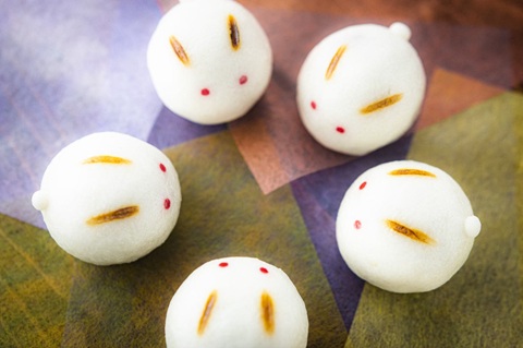 (全3回)季節を感じる 和菓子作り 秋の新講座(全3回) 10/16・11/20・12/18(木)