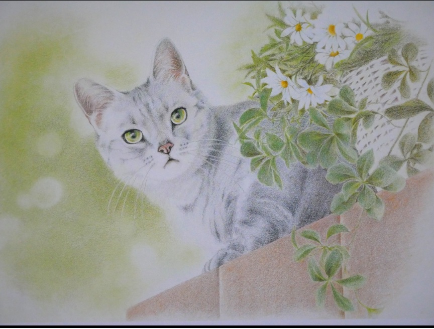 色鉛筆でここまで描ける ときめく色鉛筆画